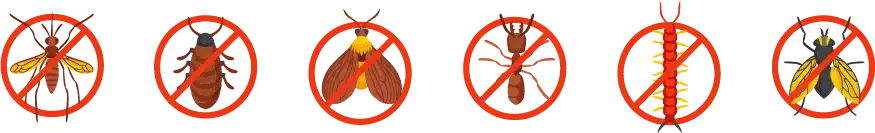 Bugs